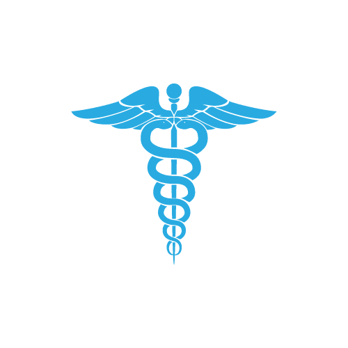 Healthcare Icon